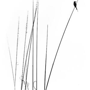 A Sabbatical by Swapnil.