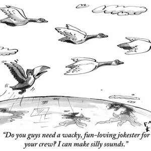 A Toucan Tries To Catch Up With Migrating Canada by Farley Katz