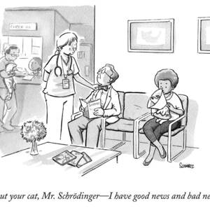 A Veterinarian Confronts A Man In The Waiting by Benjamin Schwartz