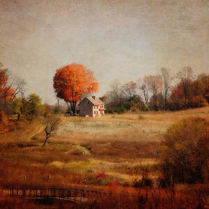A Walk in the Meadow with Texture by Trina  Ansel