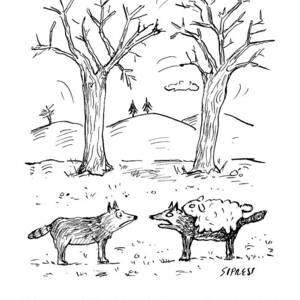 A Wolf In A Sheep Pelt Talking To Another Wolf by David Sipress