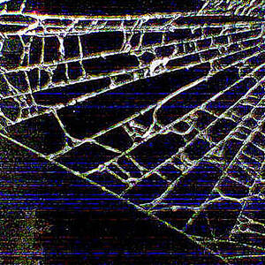 Abstract - Arachnid View by Richard Reeve