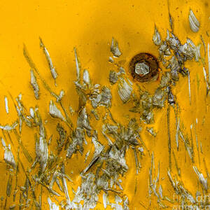 Abstract in Yellow by Marilyn Cornwell