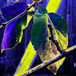 Abstract Of Winter Day by Eric Forster