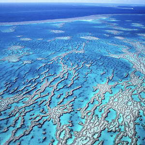 Aerial Of Low Isles, Great Barrier Reef Photograph by Peter Harrison