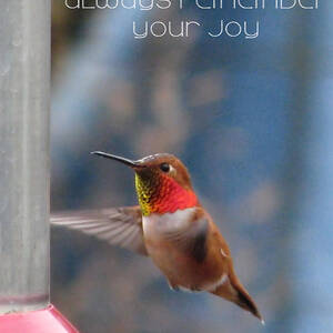 Always Remember Your Joy by Rory Siegel