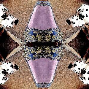 An Abstract Dalmatian by Blair Stuart
