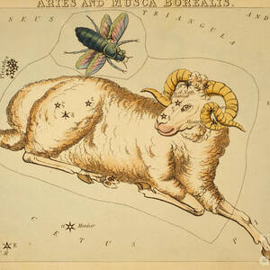 Aries Constellation Zodiac Sign 1825 by Science Source