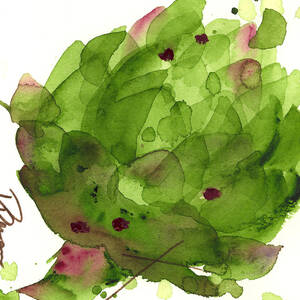 Artichoke II by Dawn Derman