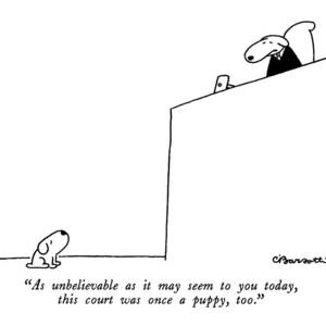 As Unbelievable As It May Seem To You Today by Charles Barsotti