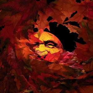 Autumn Sun by Micki Findlay