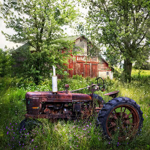 Back to Nature by Debra and Dave Vanderlaan