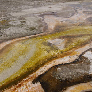 Bacterial Mats in Yellowstone NP by Pete Oxford