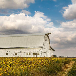 Barn in the Middle of the Field by Ron Pate