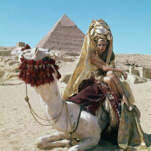 Baronne Van Zuylen On A Camel by Leombruno-Bodi