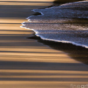 Beach Shadows by Steven Ralser