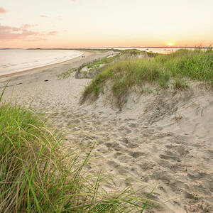 Beach With Sand Dunes At Sunset by Matt Andrew