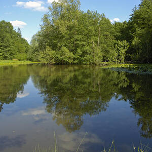 Beautiful nature - reflection in water by Matthias Hauser