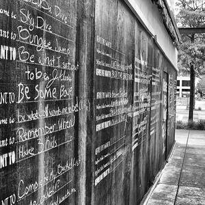 Before I Die I Want To . . .  by Jason Politte