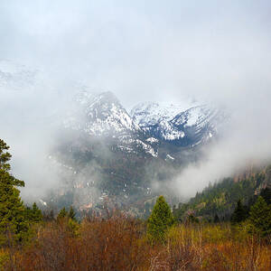 Beyond by Shane Bechler