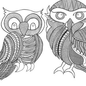 Bird Owls by MGL Licensing