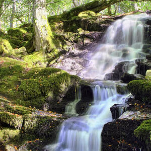 Birks of Aberfeldy Cascading Waterfall - Scotland by Jason Politte