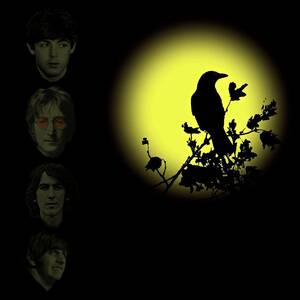 Blackbird Singing in the Dead of Night by David Dehner