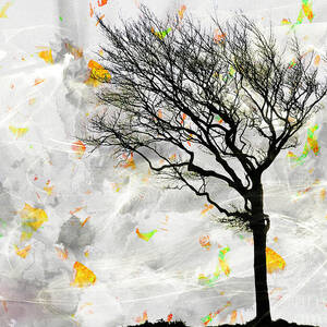 Blowing it the Wind by Edmund Nagele FRPS