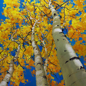 Blue Sky and Tall Aspen Trees by Gary Kim