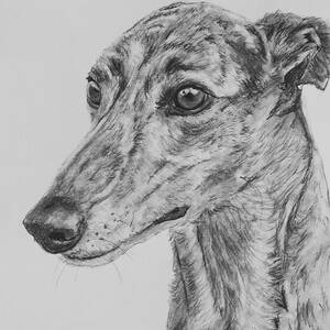 Jack Russell Terrier Portrait Painting by Kate Sumners - Fine Art America