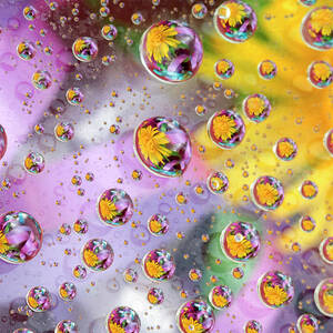 Bubbles Abstract With Flowers by Jaynes Gallery