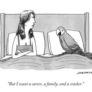 But I Want A Career by Joe Dator