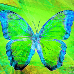 Butterfly Paintings Images – Browse 169,930 Stock Photos, Vectors, and  Video