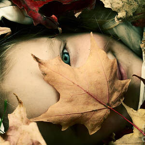 Camouflage by Aimelle Ml