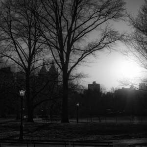 Central Park streetlamps in black and white 2 Photograph by Marianne ...