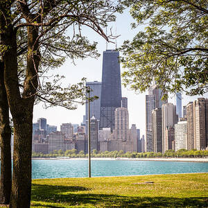 Chicago Skyline and Hancock Building Through Trees by Paul Velgos