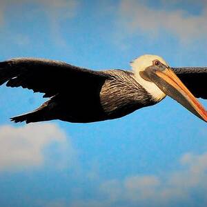 Cleared for landing by Quinn Sedam
