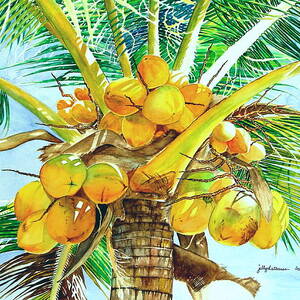 Coconut Tree Painting by Jelly Starnes - Fine Art America