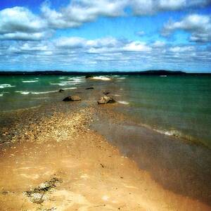 Convergence by Michelle Calkins