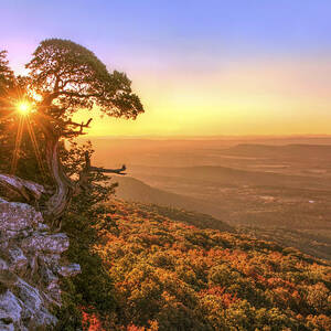 Daybreak on Mt. Magazine - Arkansas - Cedar Tree - Autumn by Jason Politte