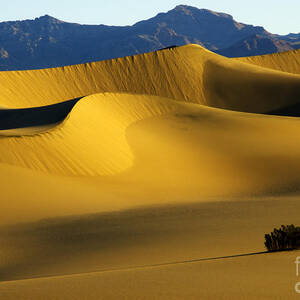 Death Valley California Gold Photograph by Bob Christopher - Fine Art ...