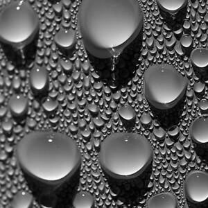 Dew Point by Joe Schofield