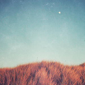 Distant Moon by Lupen Grainne