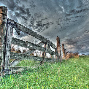 Don't Fence Me In by William Fields