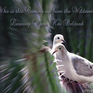 Love Doves by Constance Woods