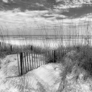 Dune Fences by Debra and Dave Vanderlaan