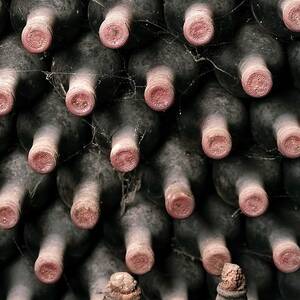 Dusty Wine Bottles by Science Photo Library