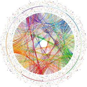 e Transition Paths by Martin Krzywinski