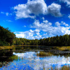 Early Fall Color on Fly Pond - Old Forge New York by David Patterson