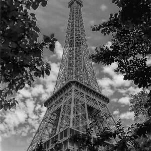 Eiffel Through Trees BW by Ken Johnson